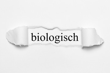 biologisch auf weißen gerissenen Papier