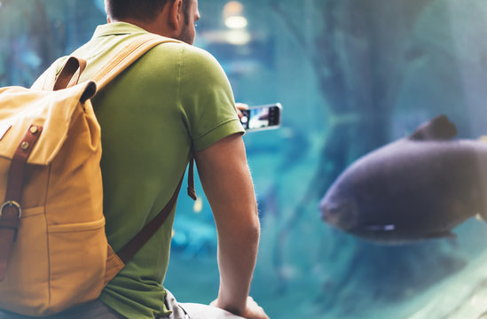 Hipster with yellow backpack, map, phone. View from back tourist traveler on background blue sea aquarium. Person hiker in oceanarium museum Barcelona and photographer pictures fish smartphone mockup