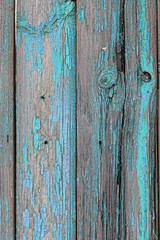 Texture of old wooden boards in peeling blue-turquoise color paint, abstract natural rustic background. wooden fence. template for design. flat lay. copy space