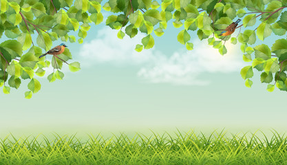 Obraz premium Vector Summer landscape
