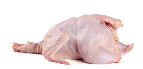 raw chicken carcass isolated on white background © kolesnikovserg