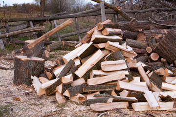 Pile of firewood with ax. Preparation for the winter in the village