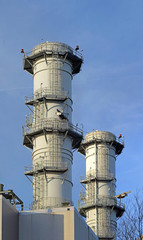 Two tall smokestacks rise into the sky on a gas fired power plant.