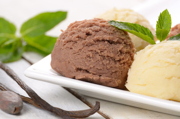 Cocoa and vanilla ice cream scoop