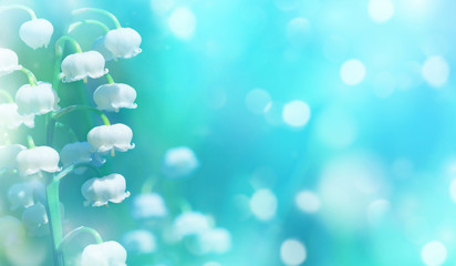 Spring natural background with beautiful flowering lily of the valley