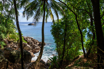 Fototapeta premium Seychelles