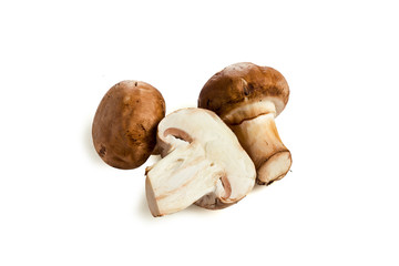 sliced mushrooms on a white background