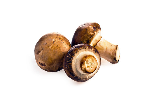 champignon mushroom with a brown hat on a white background