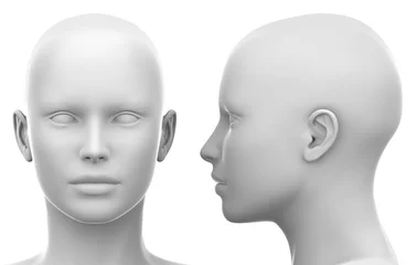 Poster Blank White Female Head - Side and Front view © decade3d
