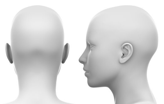 Blank White Female Head - Side and Back view