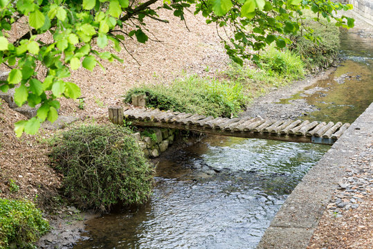 รูปภาพRuisseau เลือกดูภาพถ่ายสต็อก เวกเตอร์ และวิดีโอ40,284 Adobe Stock