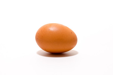 An Egg on White Background.