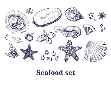 Vector hand drawn collection of seafood.