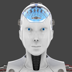 3D Illustration Of A Female Humanoid Android Robot
