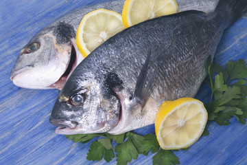 bream with parsley and lemon on bottom of wood blue
