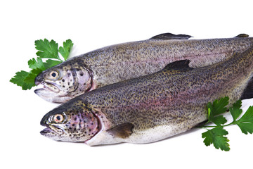 Trout with parsley isolated