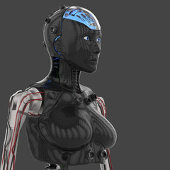 3D Illustration Of A Female Humanoid Android Robot