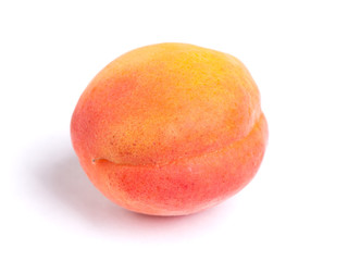 Big ripe apricot