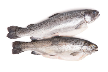 Naklejka premium Gutted trout fishes