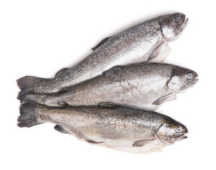 Gutted trout fishes