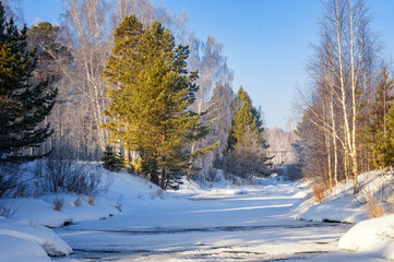 морозное утро весной в уральском лесу с замерзшей рекой, Россия, март