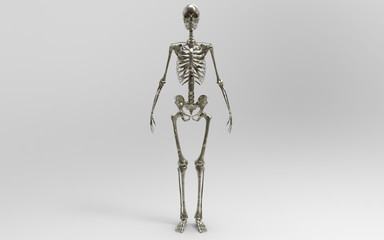 Fototapeta premium 3D Illustration Of A Human Skeleton