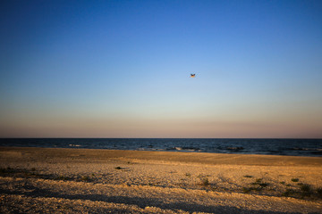 Empty beach in the sunset