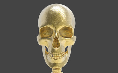 3D Illustration Of A Human Skull