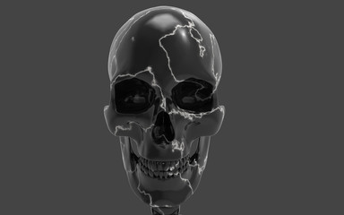 3D Illustration Of A Human Skull