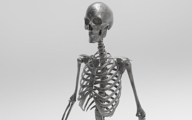3D Illustration Of A Human Skeleton
