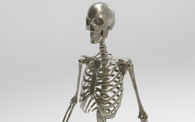 3D Illustration Of A Human Skeleton