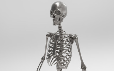 3D Illustration Of A Human Skeleton