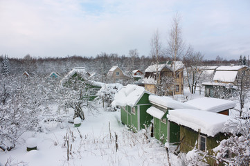 View of garden plots in winter