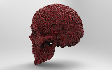 3D Illustration of A Human Skull