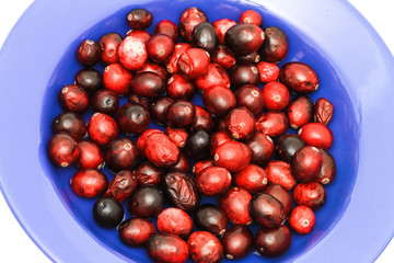 Teller mit Cranberries