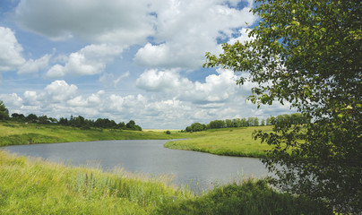 Summer landscape