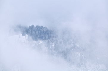 mountain top in winter fog
