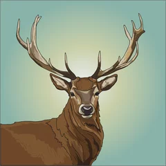 Deurstickers Colorful deer illustration. Background with wild animal. Vector illustration © antoney