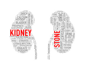 Kidney shape wordcloud wordtag stone