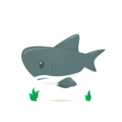 Shark vector isolated