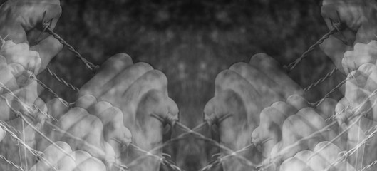 Lots of tortured hands grasping desperately barbed wire on black - obrazy, fototapety, plakaty