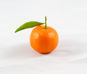 Tangerines studio photo