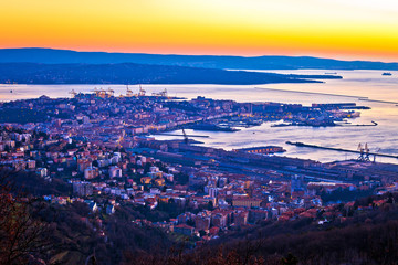 Fototapeta na wymiar Aerial evening view of Trieste