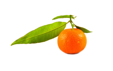 Orange tangerine with green leaves on a white background isolated image