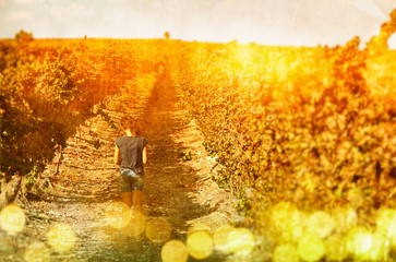 Abstract image of a little kid traveling in the vine yard