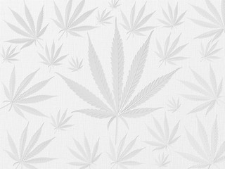 white background texture with cannabis leafs