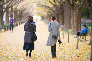 Jingu Gaien ginkgo street,Tokyo,Japan