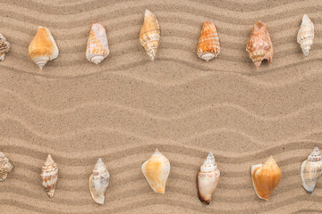 Two rows of seashells lying on the sand, with space for text.