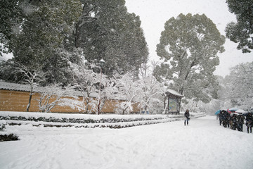 Approach Kinkakuji temple,snow scene,Kyoto,tourism of Japan