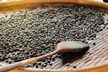 roasted robusta coffee beans and wooden flipper in a threshing basket (selective focus)   © bungbank